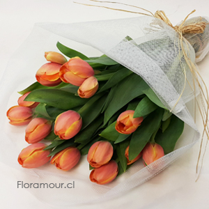 Ramo de 12 tulipanes importados. Presentación simple y rústica envuelta en tul crudo y núcleo de humectación para protección. Color puede variar según disponibilidad. Solo santiago de Chile.